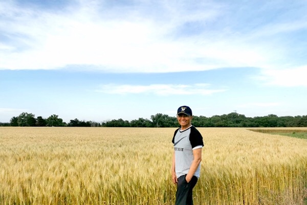 Sebuah ladang di Hays. Teringat masa kecil di Takeran.