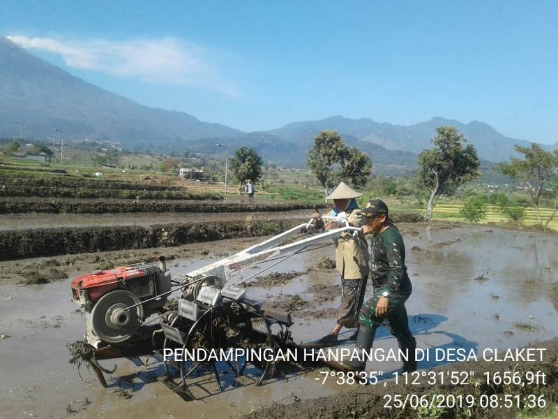 Babinsa Claket Saat Mendampingi Petani Bajak Sawah