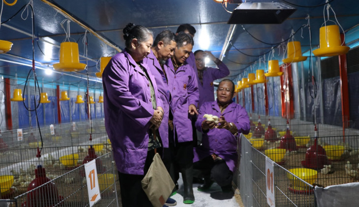 Research Farm di Fakultas Peternakan UGM. (Foto: ugm.ac.id)