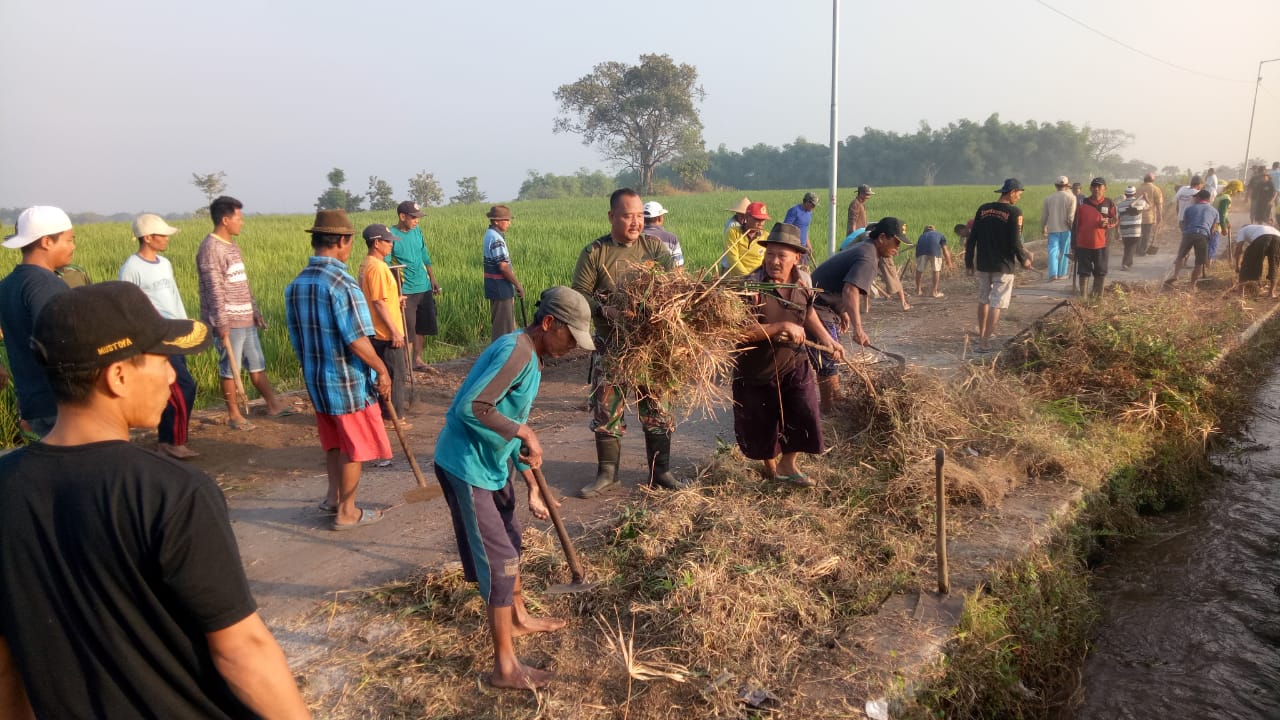 Padat Karya Tunai di Desa;