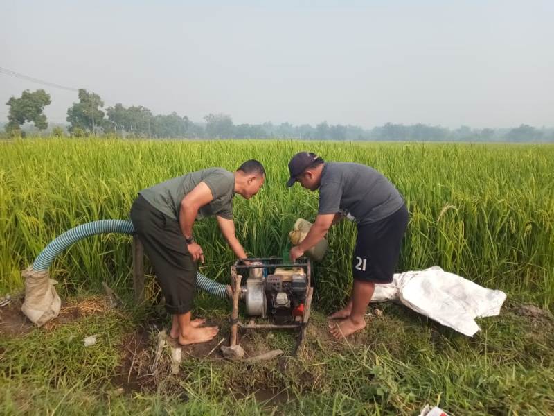 Babinsa Tampungrejo Bersama Petani mengairi sawah dengan mesin pompa air