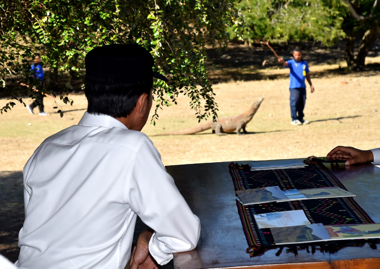 Jokowi menyaksikan seekor komodo yang sedang diberi makan salah satu petugas di TN Komodo, Kamis, 11 Juli 2019. (Foto: Biro Pers Setpres)