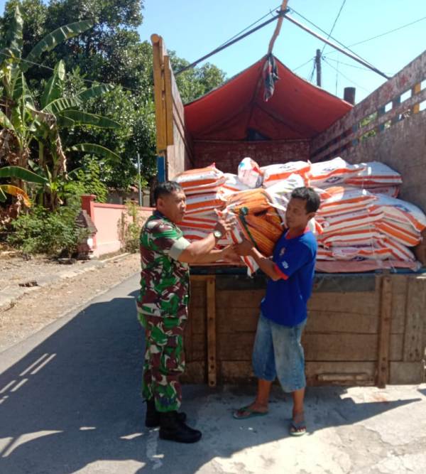 Pendistribusian Benih bagi Poktan di wilayah Dlanggu, Mojokerto