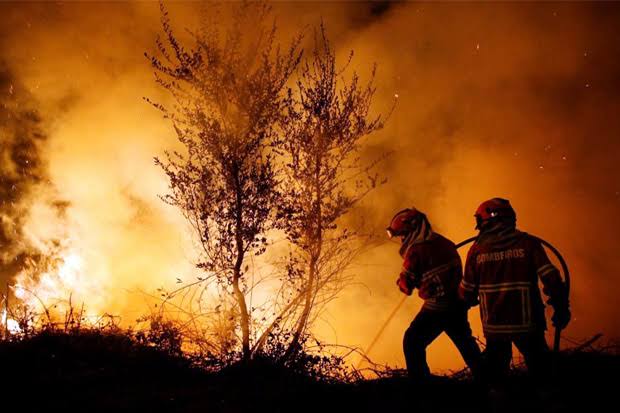 Ilustrasi Kebakaran Hutan.(Foto: Dok/Antara)