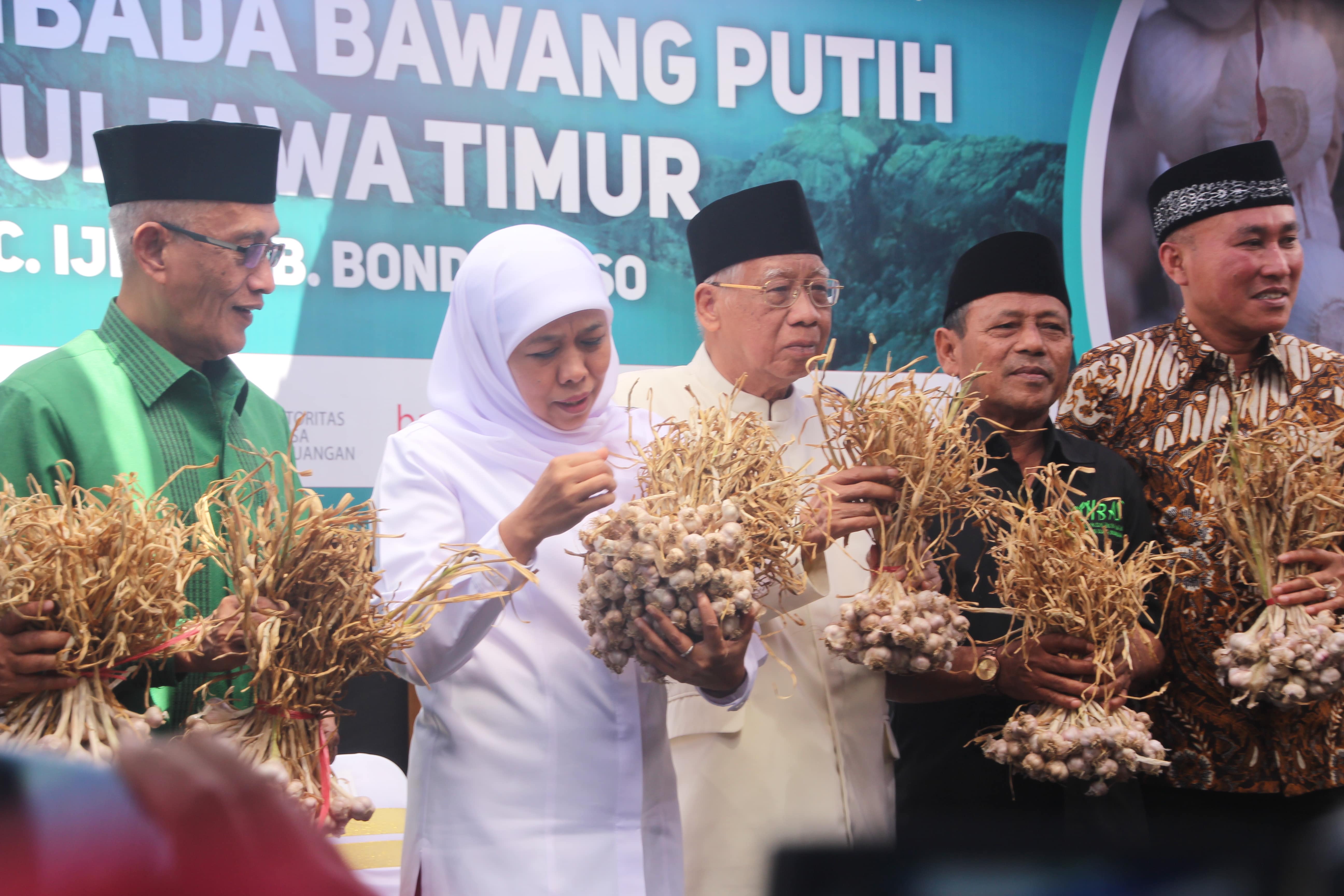 Khofifah saat memamerkan hasil swasembada bawang putih di Bondowoso. (Foto: Faiq/ngopibareng.id)