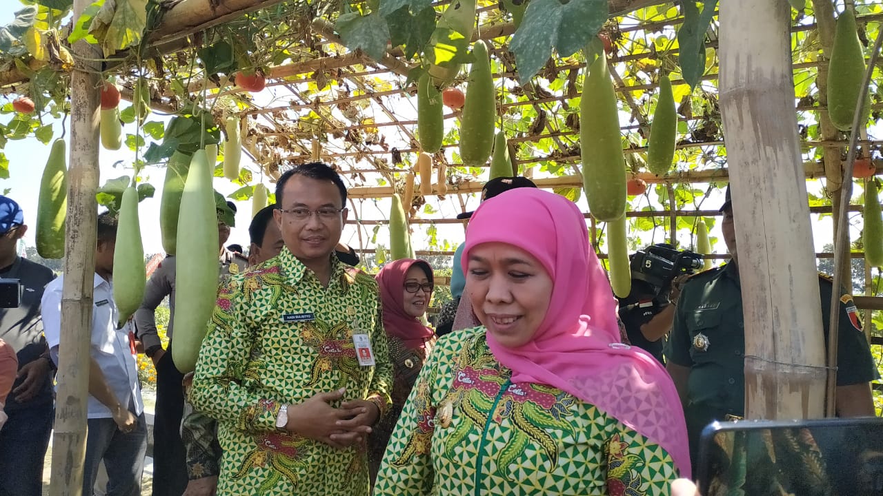 Khofifah kunjungi Gelaran Inovasi Teknologi Tanaman Pangan dan Hortikultura di Desa Wisata Dewi Cemara Kedung Malang Kecamatan Papar, Kabupaten Kediri. (Foto: Fendi/ngopibareng.id)