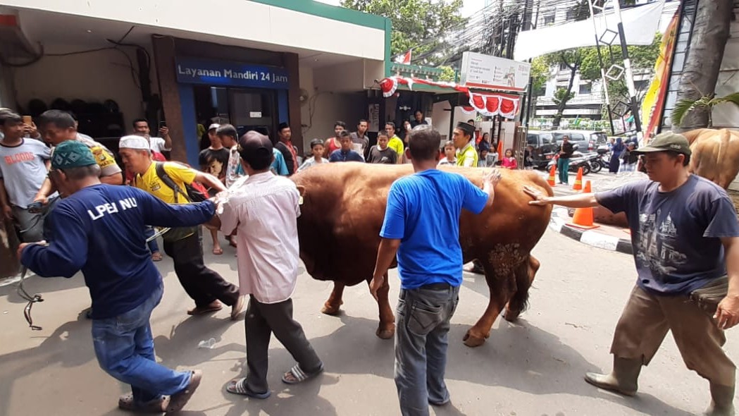 Hewan kurban di PBNU didistribusikan hingga ke luar negeri. (Foto: nu/ngopibareng.id)