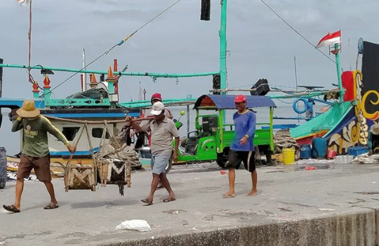 Aktifitas para pelaku pasar TPI Brondong, Paciran, Lamongan. (Nasih/ngopibareng.id)