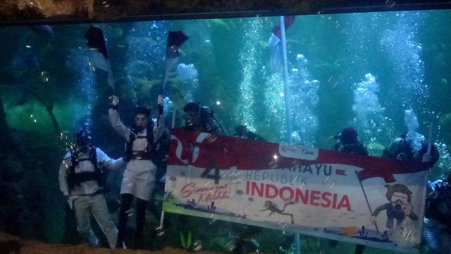 Aaliyah Massaid pertama kali mengibarkan bendera di dalam kolam raksasa Sea World Ancol, Sabtu 17 Agustus 2019.