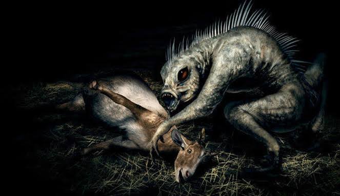 Foto ilustrasi hewan misterius/Boombastis.com Foto ilustrasi hewan misterius/Boombastis.com