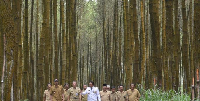 Bupati Pasuruan dalam video Pasuruan Always Fresh. (Foto: Dok Humas)