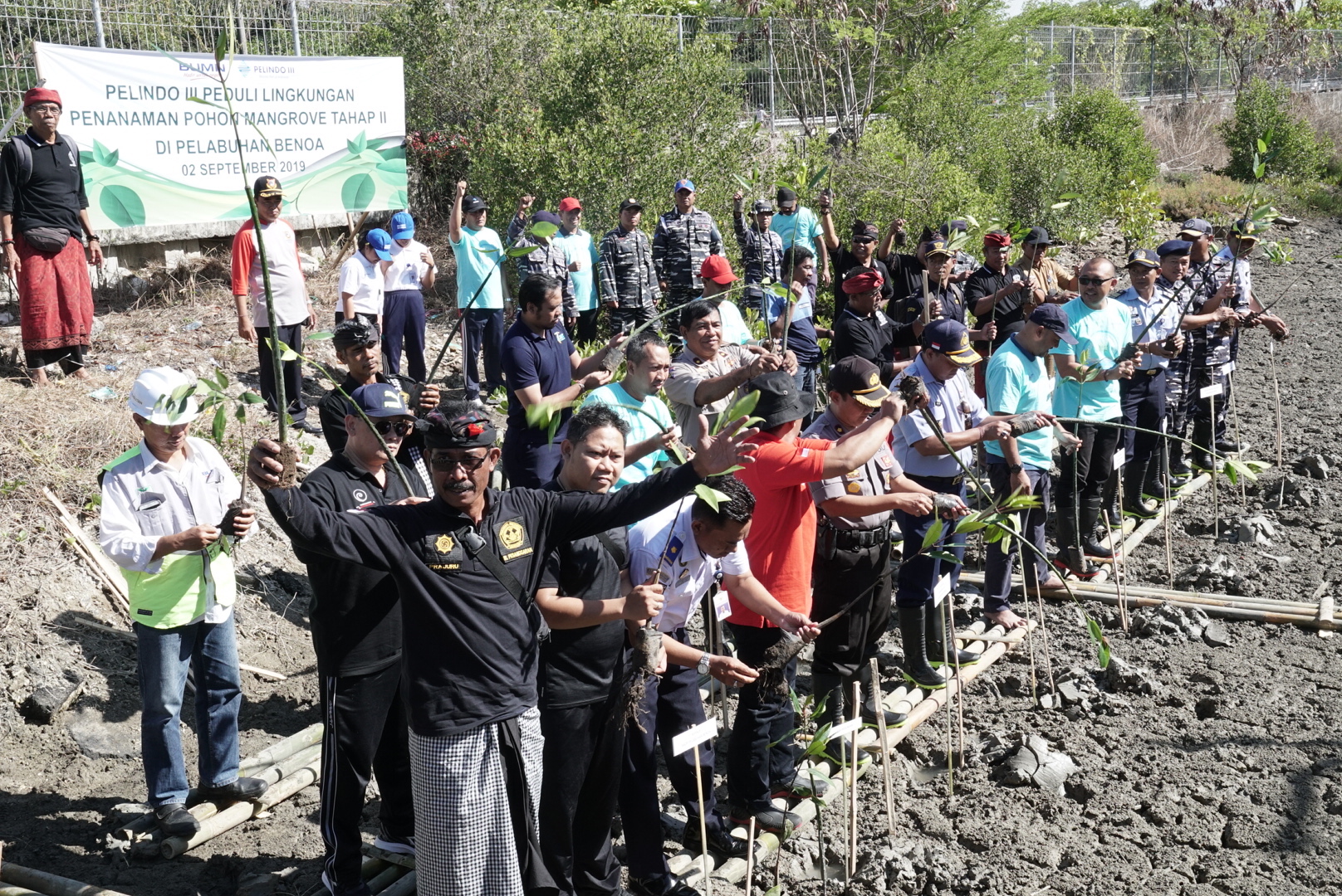 Penghijauan pesisir Pelabuhan Benoa yang dilakukan Pelindo III. (Foto: Dok/Pelindo III)