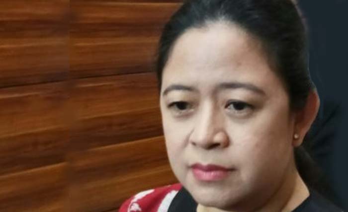 Menteri Koordinator Bidang Pembangunan Manusia dan Kebudayaan Puan Maharani. (Foto:Antara)