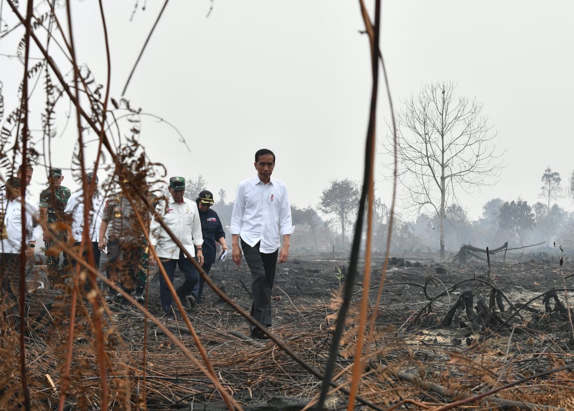 Presiden saat meninjau lokasi karhutla di Desa Merbau, Kecamatan Bunut, Kabupaten Pelalawan, Kota Pekanbaru, Selasa, 17 September 2019.. (Foto: Setpres)