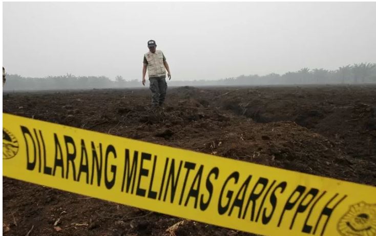 Petugas Ditjen Penegakan Hukum Kementerian Lingkungan Hidup dan Kehutanan (KLHK) berjalan usai menyegel lahan perusahaan asal Malaysia PT Adei Plantation and Industry di Kabupaten Pelalawan, Riau, Jumat 13 September 2019. (Foto: Antara/Hadly Vavaldi)