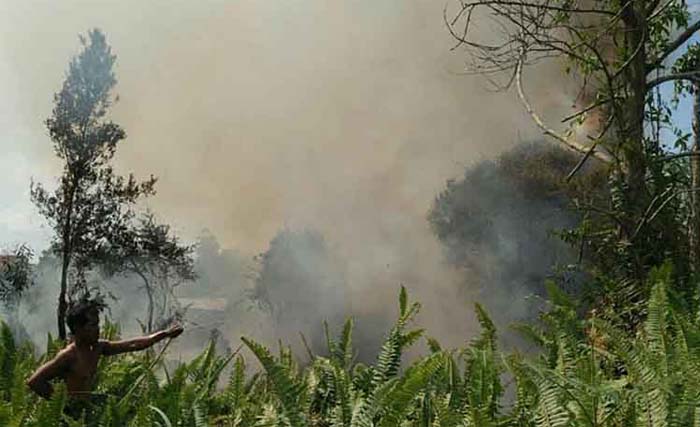 Kebakaran hutan di Kabupaten Kota Waringin Timur, Kalimantan Tengah, Senin kemarin. (Foto:Borneo)