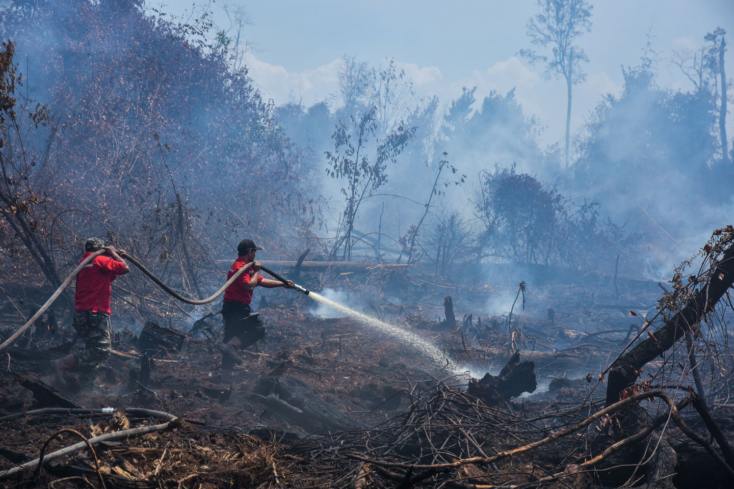 Petugas BNPB berusama memadamkan api yang membakar hutan. (Foto: Dok/Antara)