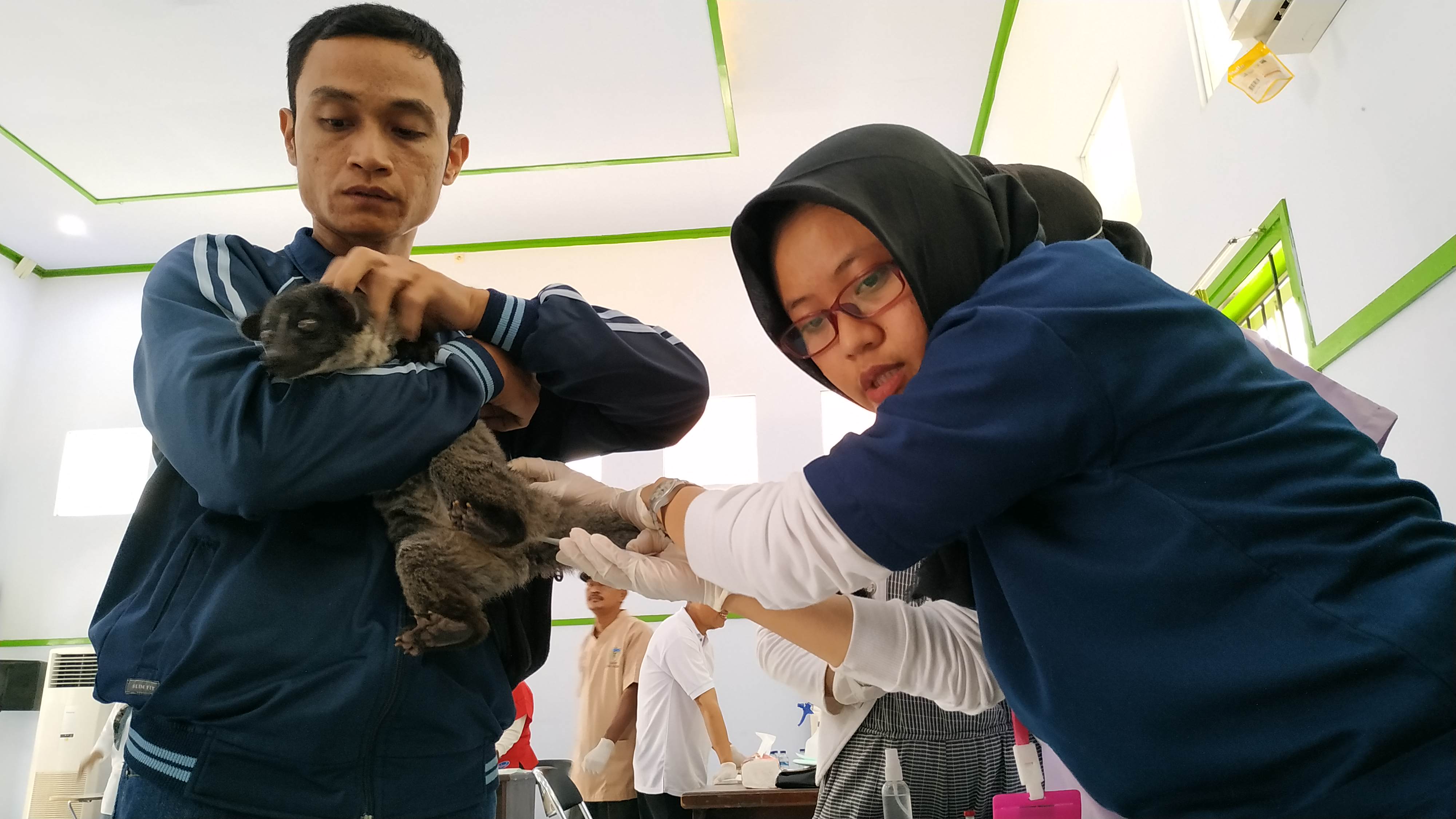 ratusan hewan kucing, anjing dan Musang divaksin rabies (Fendi/ngopi bareng)