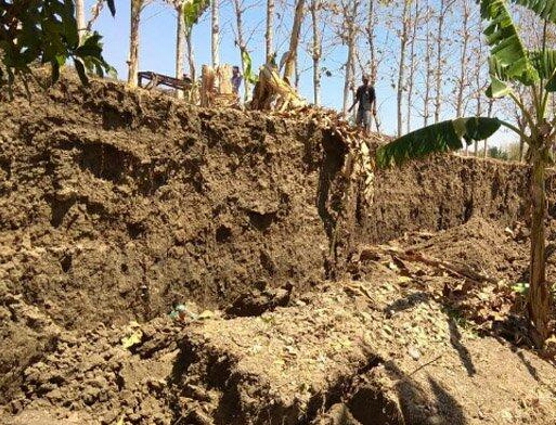 Penampakan tanggul Bengawan Solo di Karanggeneng, Lamongan yang mengalami longsor. (Foto: Nasih/ngopibareng.id)