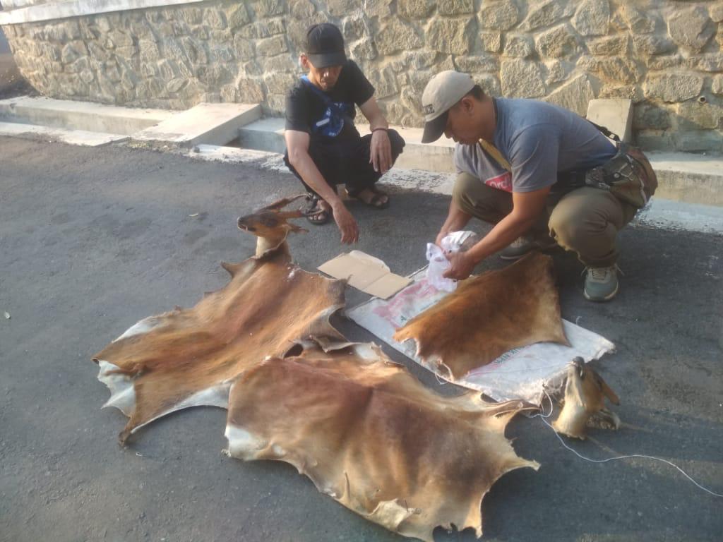 Barang bukti tangkapan terhadap pelaku BHP di Pacitan. (Foto: Dok LHK) 