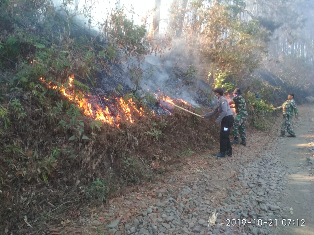 KEBAKARAN hutan dan lahan di lereng Gunung Pusung Cilik, Desa Ngadisari, Kecamatan Sukapura, Kabupaten Probolinggo. (foto: Kodim 0821 Probolinggo/ngopibareng.id)