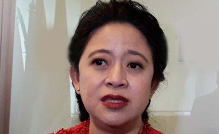 Puan Maharani, Ketua DPR-RI 2019-2024. (Foto:Antara)