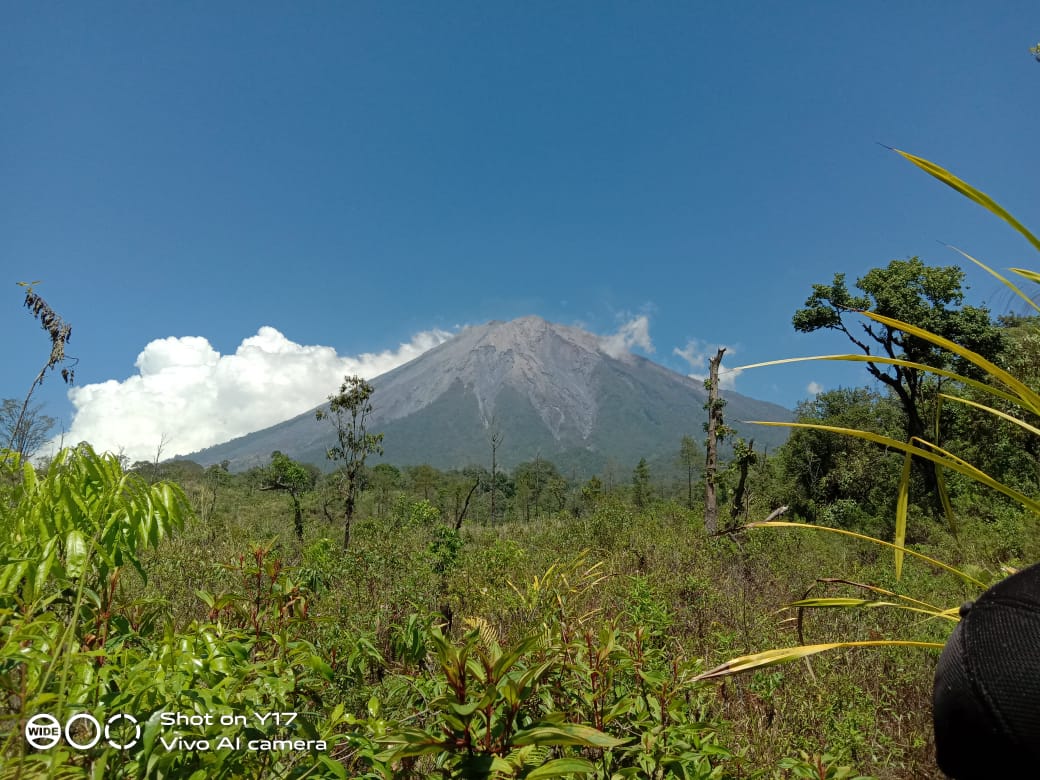 Kondisi Gunung Semeru pasca mengalami kebakaran hutan. (Foto: Istimewa)