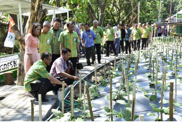  Kebun budi daya di sekitar Masjid Nurul Jannah Petrokimia, Kabupaten Gresik, Jatim (Foto: Petrokimia Gresik)