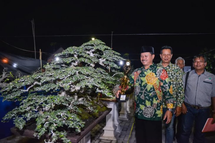  Wali Kota Madiun Maidi (kiri) saat meghadiri kegiatan Madiun Bonsai Festival 2019 di Taman Hutan Kota Madiun Jalan Basuki Rahmat pada Sabtu 9 November 2019 malam. (Foto: Antara/Diskominfo Kota Madiun)