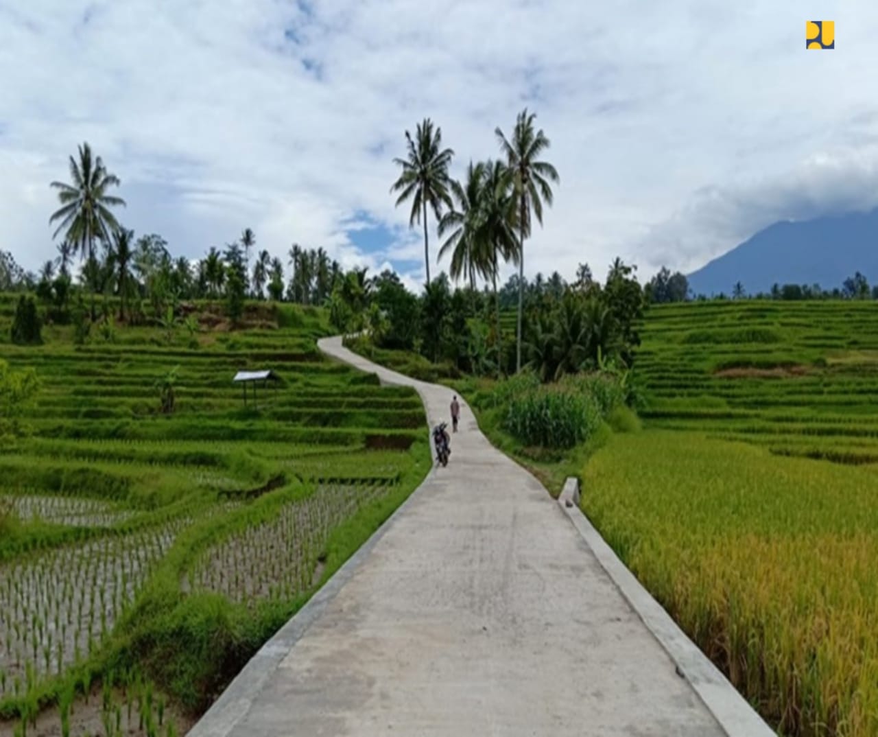 Ilustrasi pembangunan akses jalan untuk memudahkan pengakutan hasil pertanian. (Foto: Kementerian PUPR)