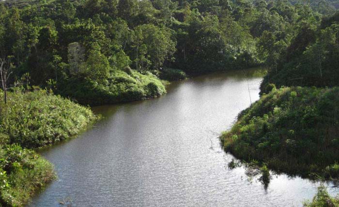 Ilustrasi Sungai Kapuas, di wilayah Kapuas Hulu, Kalbar, tempat seorang ibu tenggelam kemarin. (Foto:Antara)