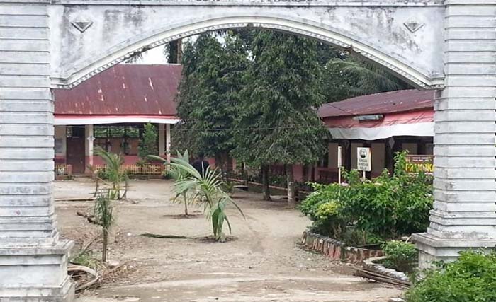 Tanaman kelapa sawit di halaman SDN 22 Batang Lingkin Pasaman , Sumatera Barat. (Foto:HarianHaluan)