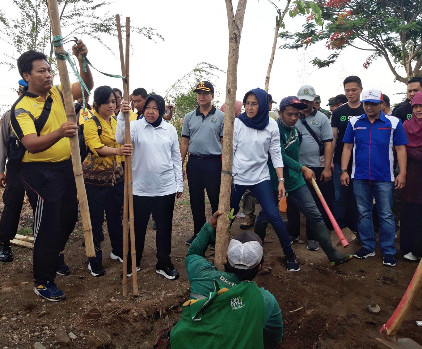 Wali Kota Surabaya, Tri Rismaharini saat melakukan penanaman pohon tabebuya di area stadion GBT. (Foto: Haris/ngopibareng.id)