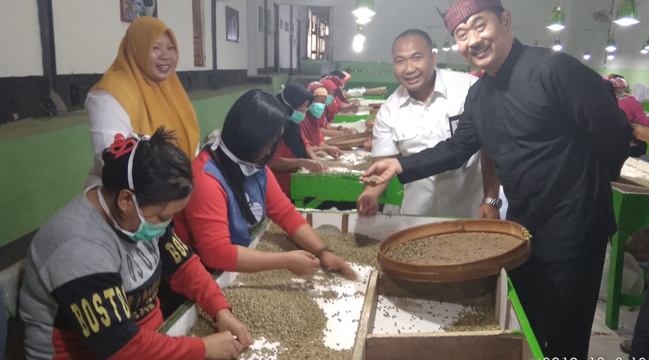 Wakil Bupati Banyuwangi, Yusuf Widyatmoko bersama Manajer Kebun Kaliselogiri Benny Hendricrianto meninjau proses sortir kopi di Perkebunan Kaliselogiri. (Foto: Hujaini/Ngopibareng.id)