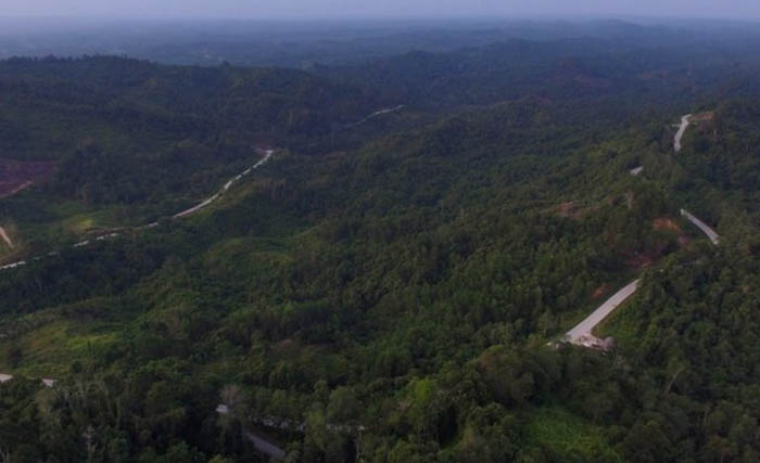 Lahan di Sepaku, Kalimantan Timur, yang dipersiapkan untuk ibu kota baru, (Foto:Antara)