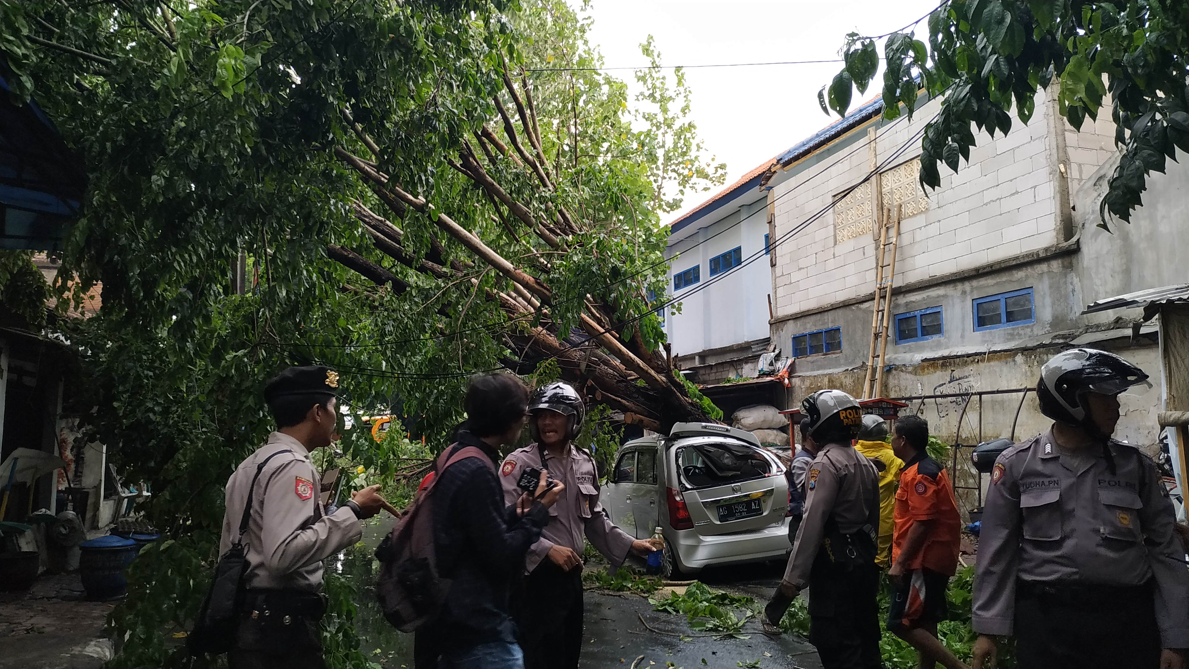 Mobil tertimpa pohon setelah hujan disertai angin kencang menumbangkan sejumlah pohon di Kediri. (Foto: Fendi/ngopibareng.id)