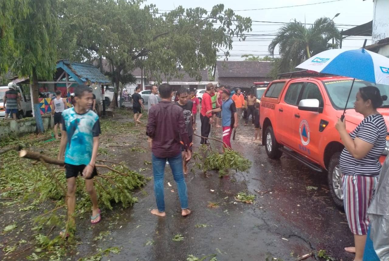 Petugas BPBD Banyuwangi bersama warga membersihkan pohon tumbang akibat hujan lebat yang terjadi Jumat sore (Foto : Pusdalops BPBD Banyuwangi)