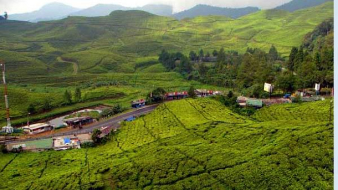 Kawasan Puncak Bogor. (Foto: Ant)