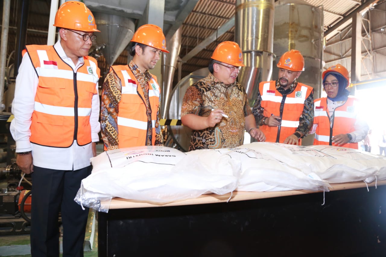 Menristek/Kepala BRIN Bambang Sumantri Brojonegoro saat meninjau Pabrik PT Garam. (Foto: Kementerian Riset dan Teknologi)