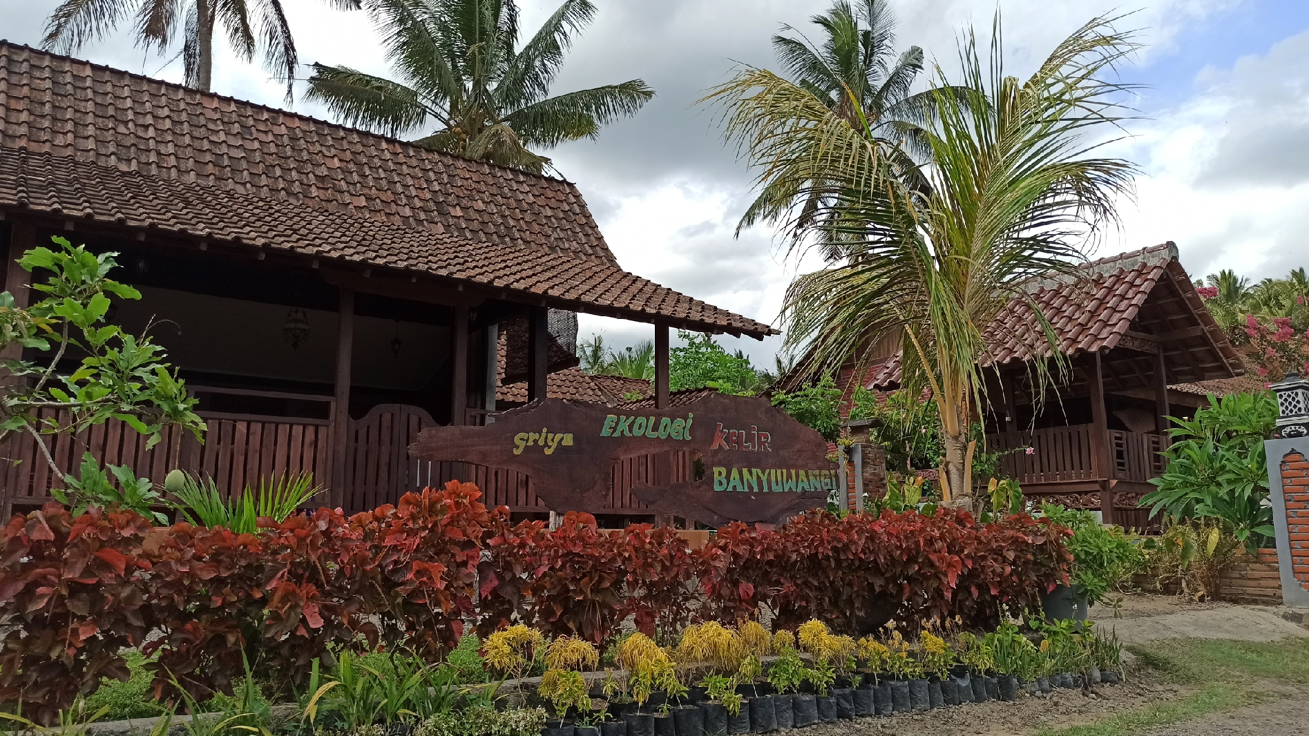 Griya Ekologi yang berada di Desa Kelir, Kecamatan Kalipuro (Foto: Muh Hujaini/ngopibareng.id)