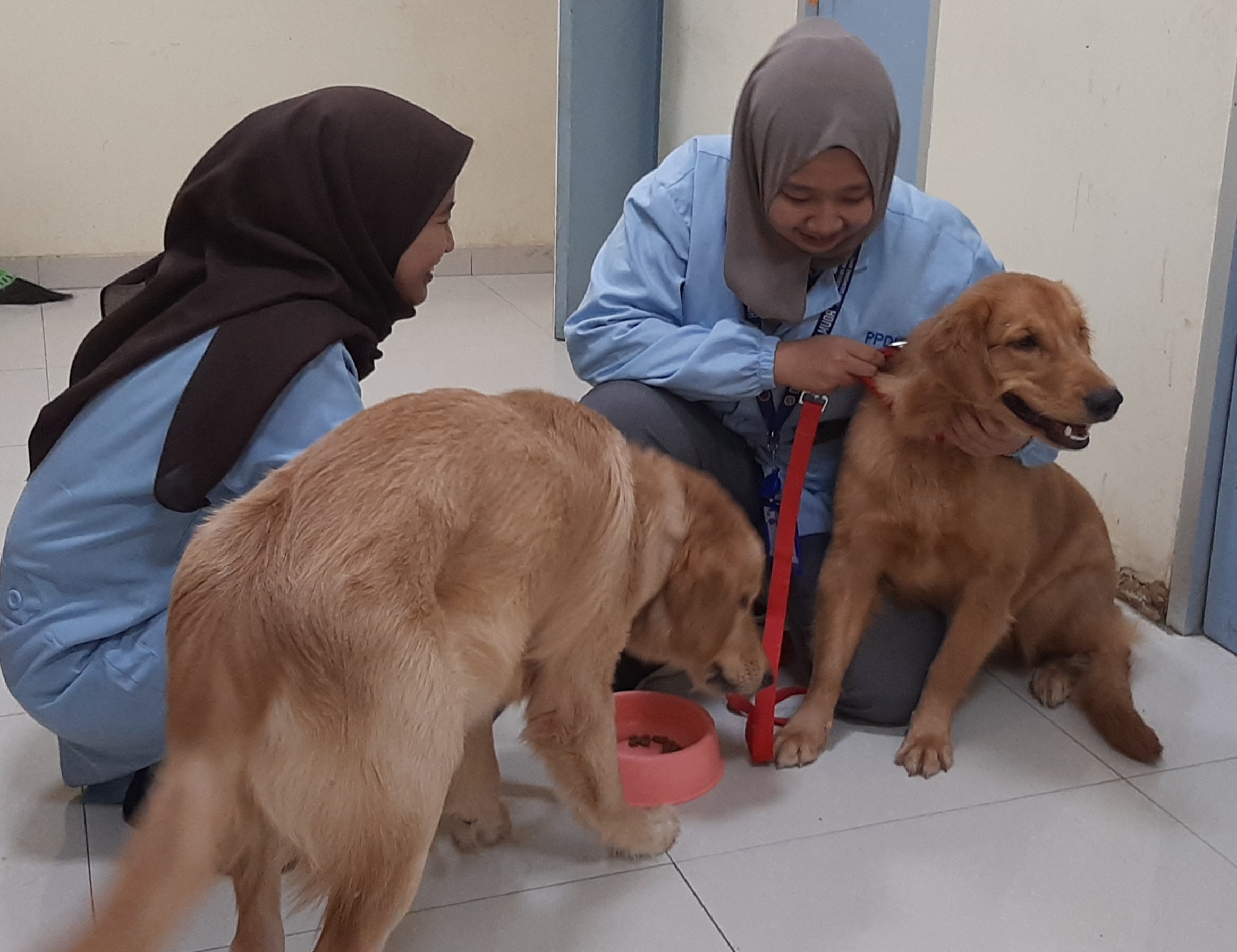 Ilustrasi aktivitas bermain dengan hewan di penitipan hewan RS Hewan Unair. (Foto: Pita/Ngopibareng.id)