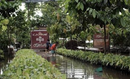 Suasana Kampung Coklat di Blitar.