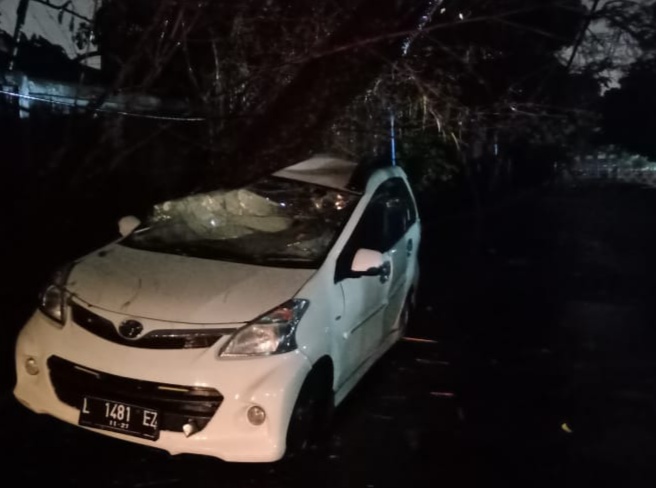 Mobil tertimpa pohon di area parkir Hi-Tech Mall. (Foto: Faiq Azmi)