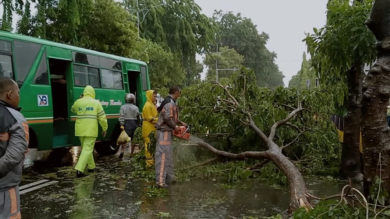 Petugas saat melakukan evakuasi pohon tumbang di Jalan A.Yani, Surabaya, Minggu 5 Januari 2020. (Foto: Fariz/ngopibareng.id)