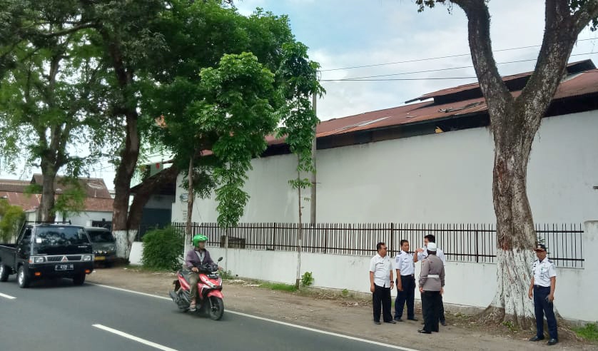 Forum LLAJ Banyuwangi melakukan survey pemetaan dan pendataan pohon dan ranting rapuh yang rawan tumbang (Foto: Istimewa)