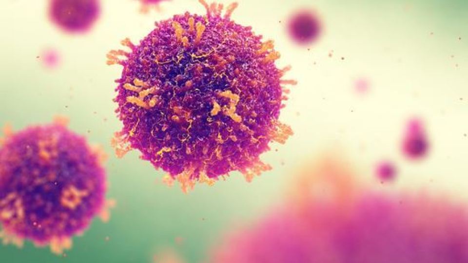 Ilustrasi coronavirus. (Ilustrasi: wrbl.com)