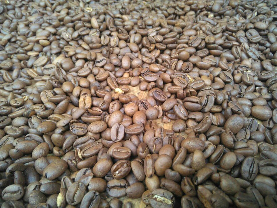 Kopi Arjuno jenis Arabica dari Desa Jatiarjo, Prigen, Kab. Pasuruan