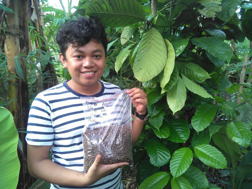 Renza, pemuda pelopor Kampung Kopi, menunjukkan kapi Arabica setelah disangrai.