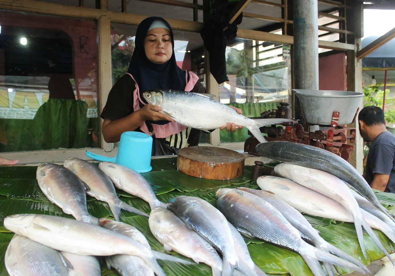 Pasar bandeng kagetan jelang Imlek di Rawa Belong Jakarta Barat, harganya dari  Rp50 sampai Rp125 ribu setiap kilonya. Menu ikan bandeng ternyata jadi sajian Imlek khas Tionghoa di Indonesia.( foto: asmanu/ngopibareng.id