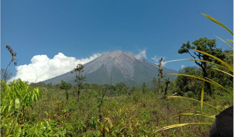 Pemandangan Gunung Semeru. (Foto: istimewa)